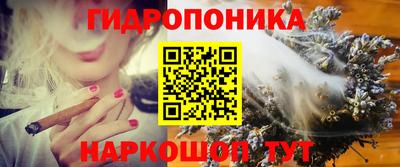 стафф Новокубанск