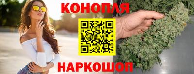 спайс Обь