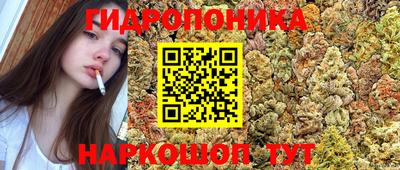 кокаин Новодвинск