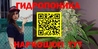 стафф Новокубанск