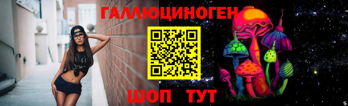 Псилоцибиновые грибы мицелий Сосновый Бор